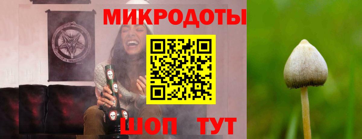 Белореченск  Псилоцибиновые грибы MAGIC MUSHROOMS  Вход с VPN 